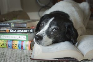 A dog lays with its head on a pile of books.