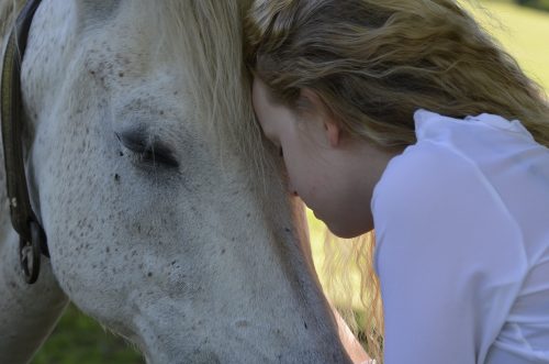 Girl and horse touching heads